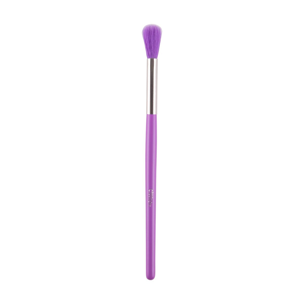 Brochas Set de 24 The Neón Purple
