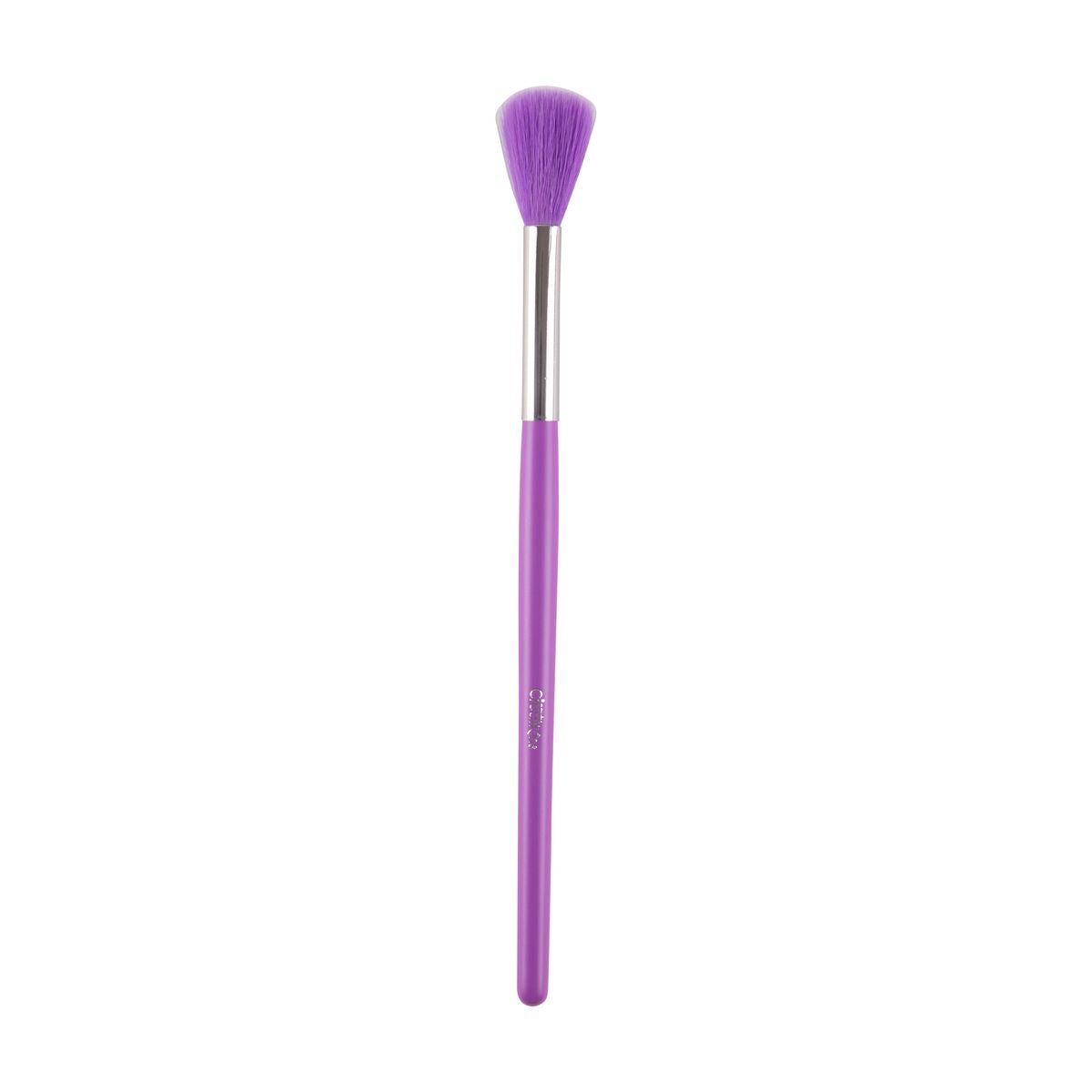 Brochas Set de 24 The Neón Purple