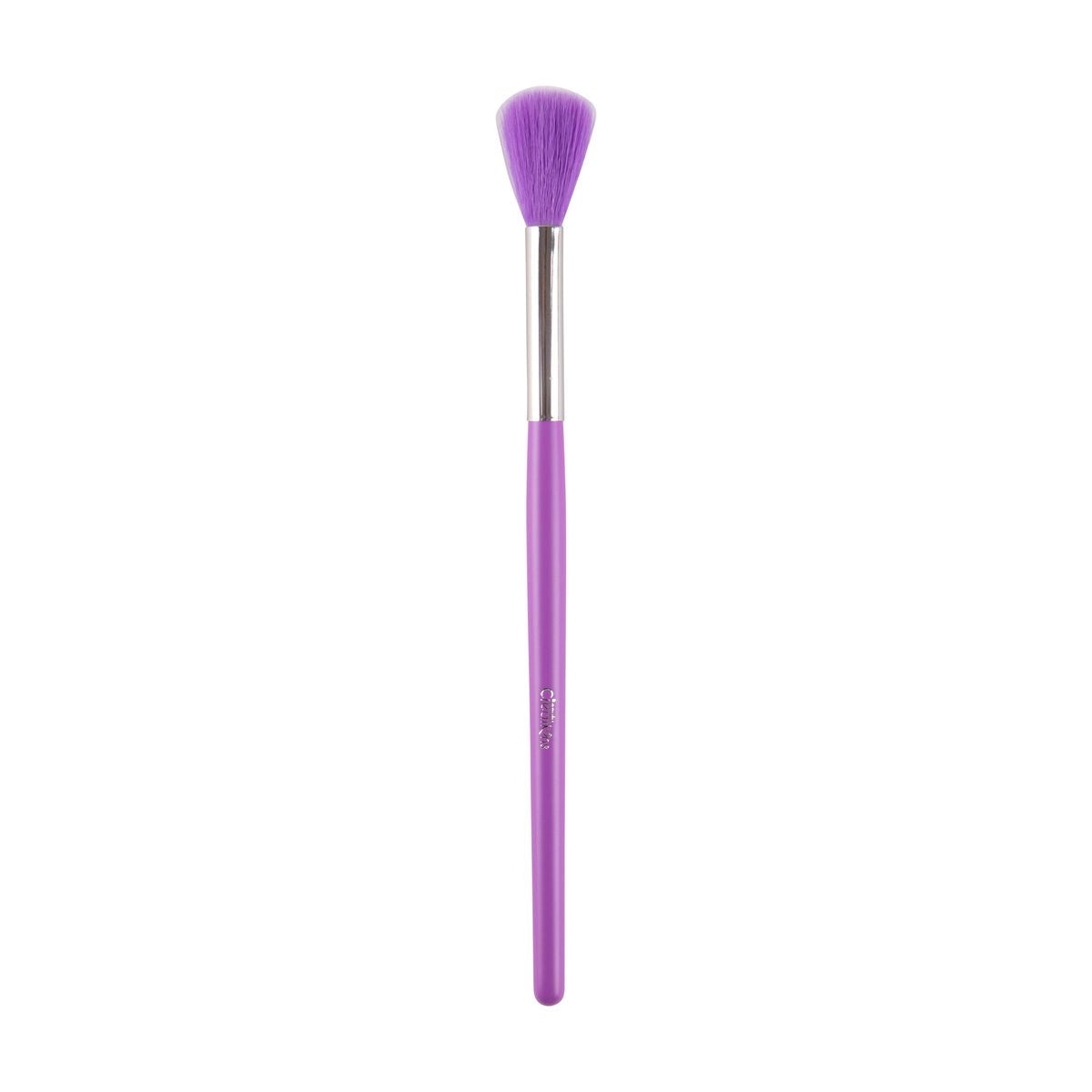Brochas Set de 24 The Neón Purple