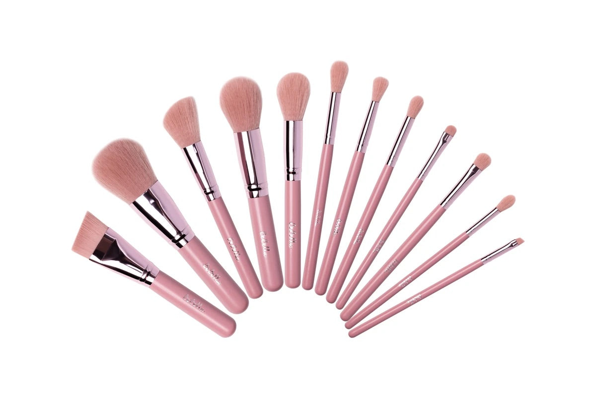 Set De Brochas 12 Pcs The Ideal