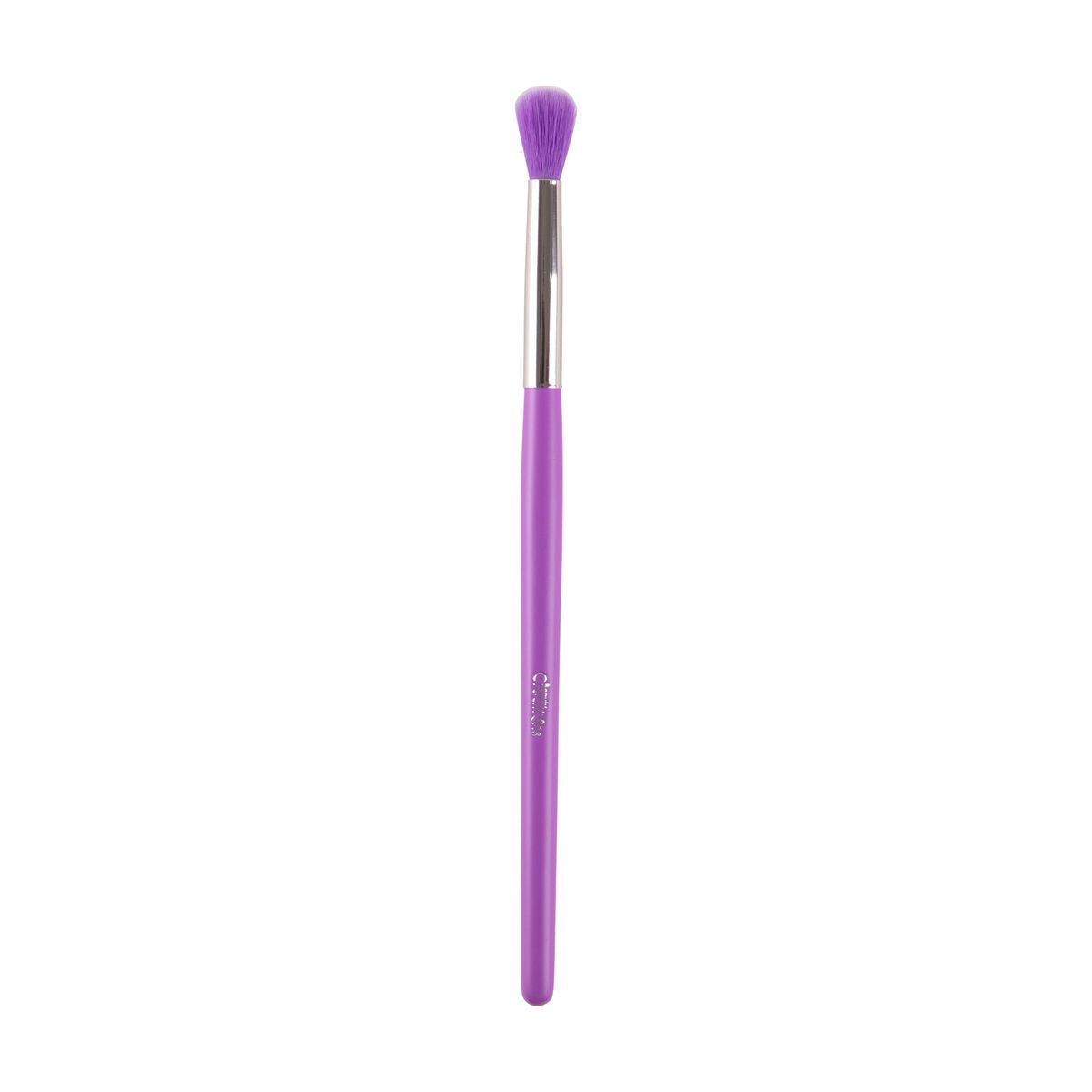 Brochas Set de 24 The Neón Purple