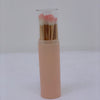 Telescopic brush